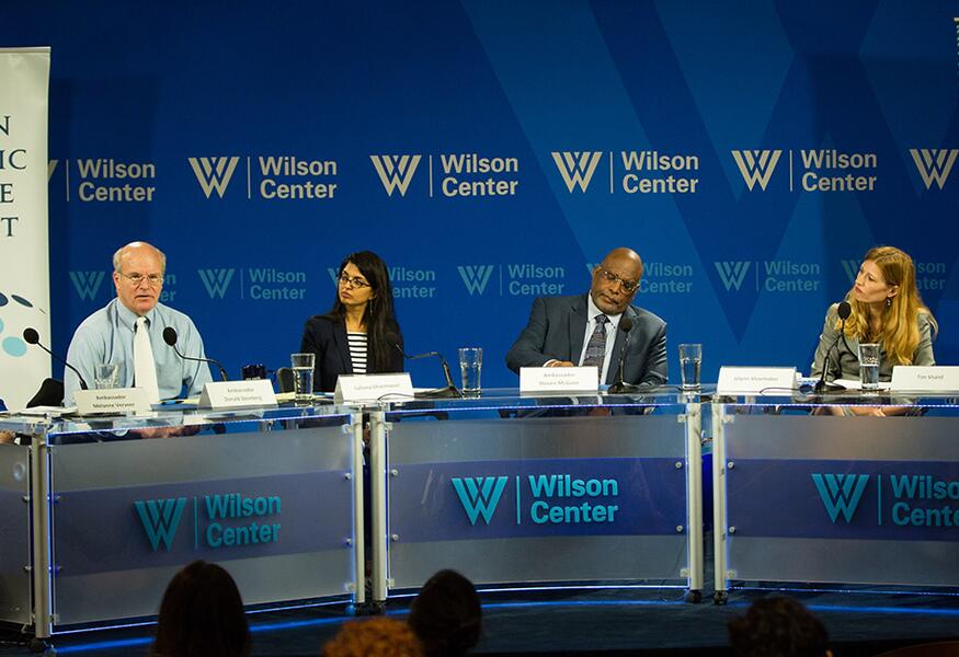 Wilson center public panel