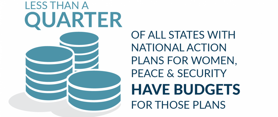 Less than a quarter of states have budgets for National Action Plans