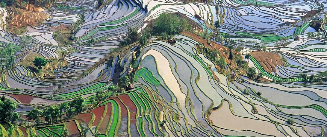 Environmental plain 