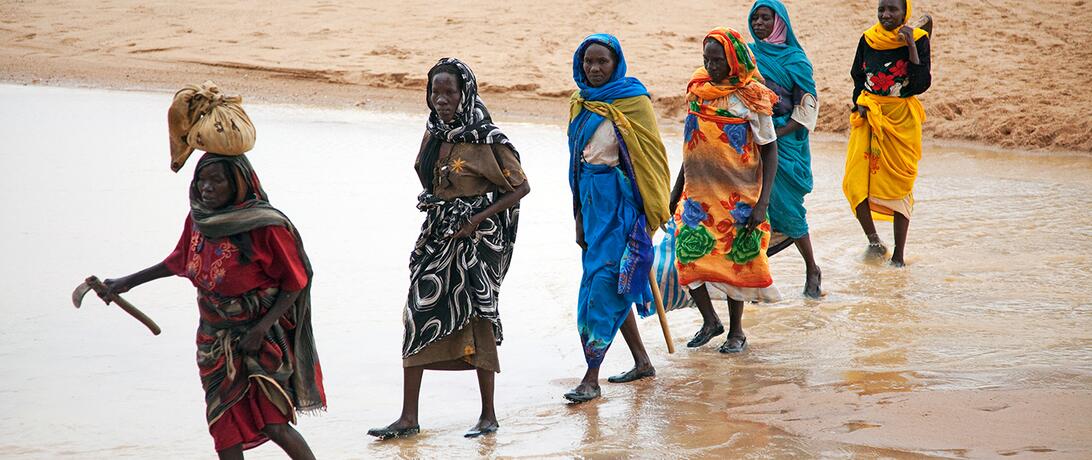 Sudanese Women Collect Fire Wood